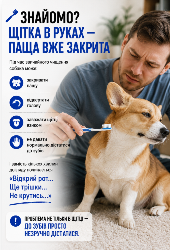Кісточка-зубки для чищення зубів собаці